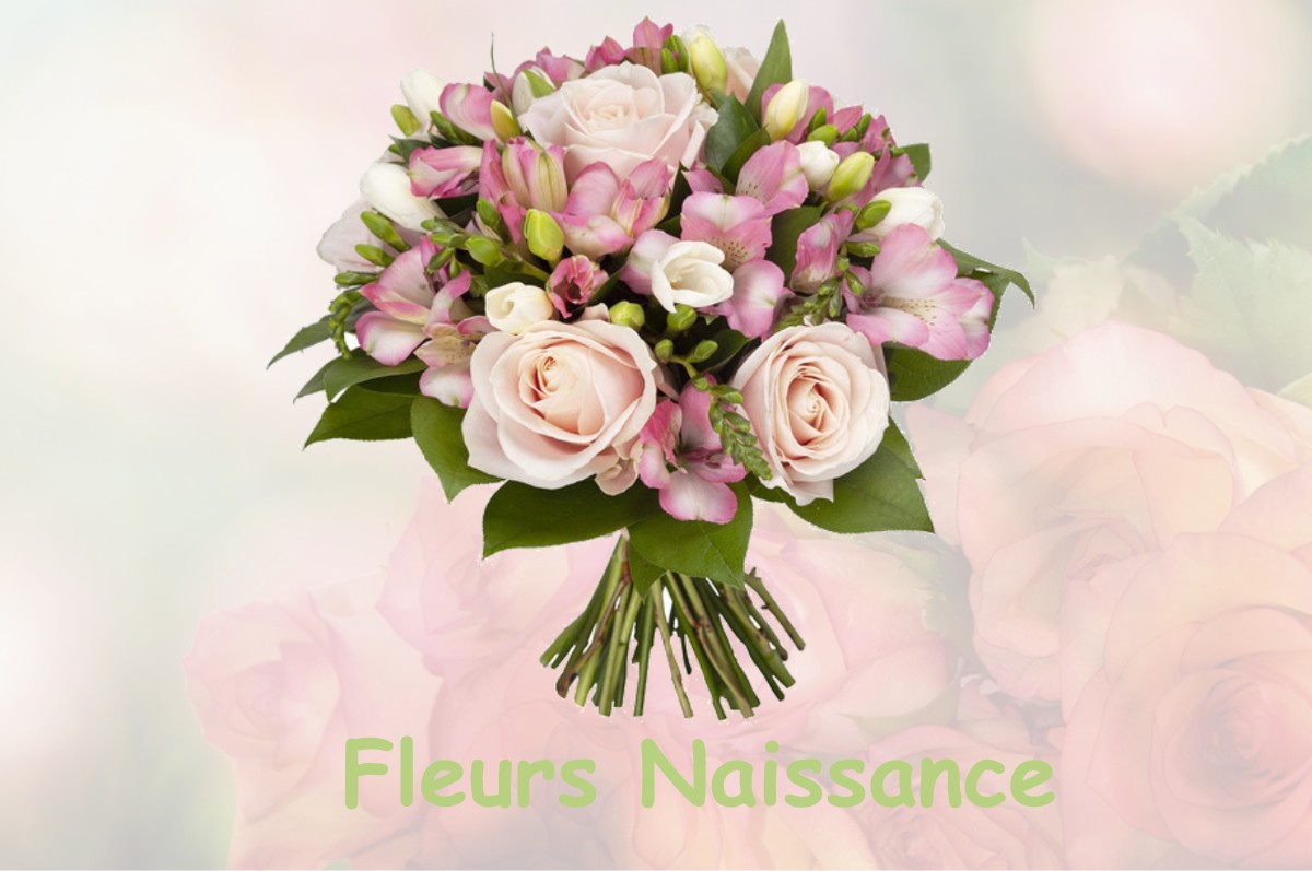 fleurs naissance TREMBLAY-EN-FRANCE