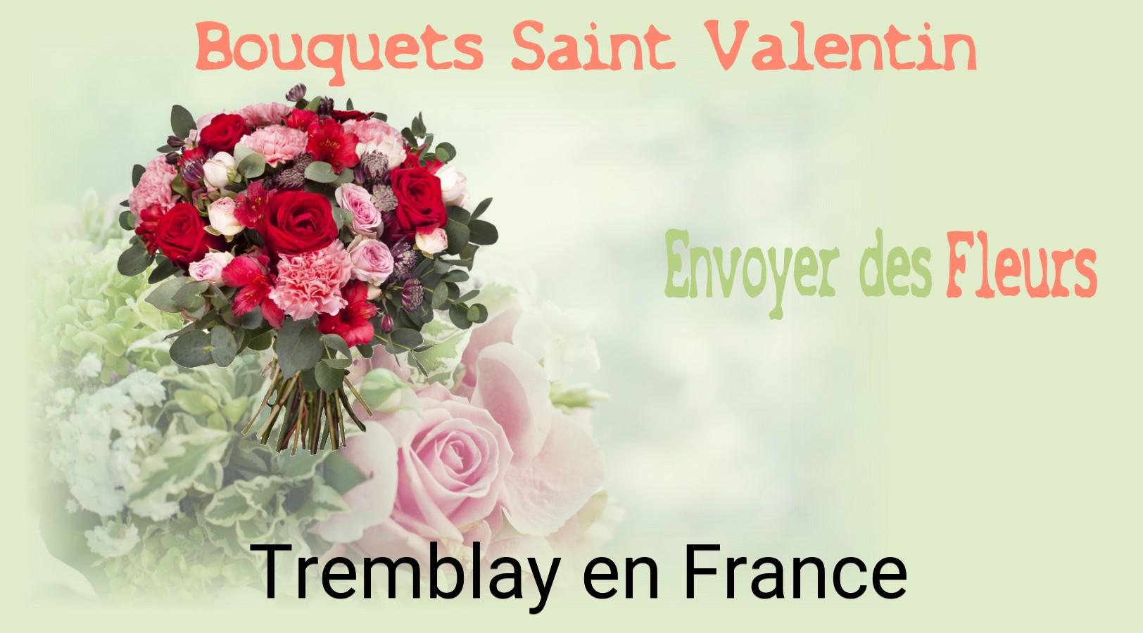 Roses de Saint-Valentin livrées à Tremblay-en-France