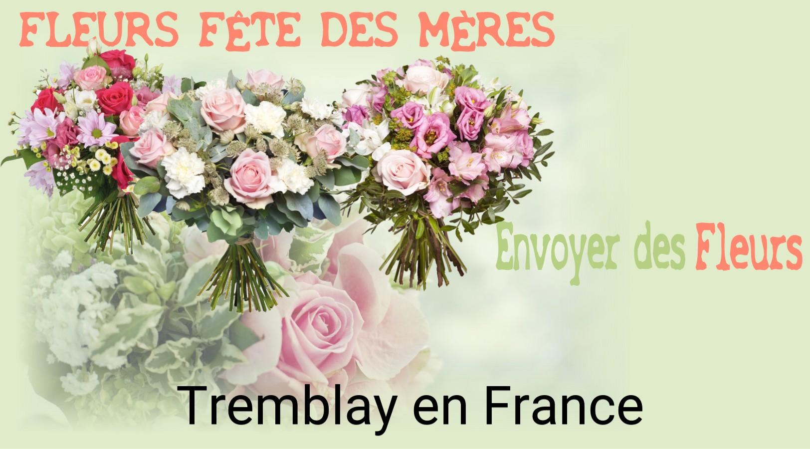 Bouquet de Fête des Mères livré à Tremblay-en-France